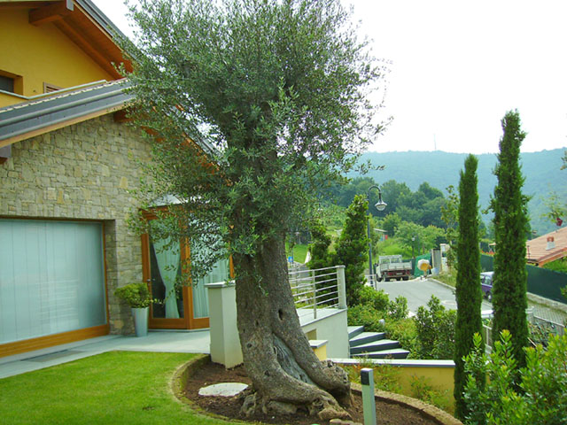 Giardini di ville archivi progettazione giardini Giardini ville private