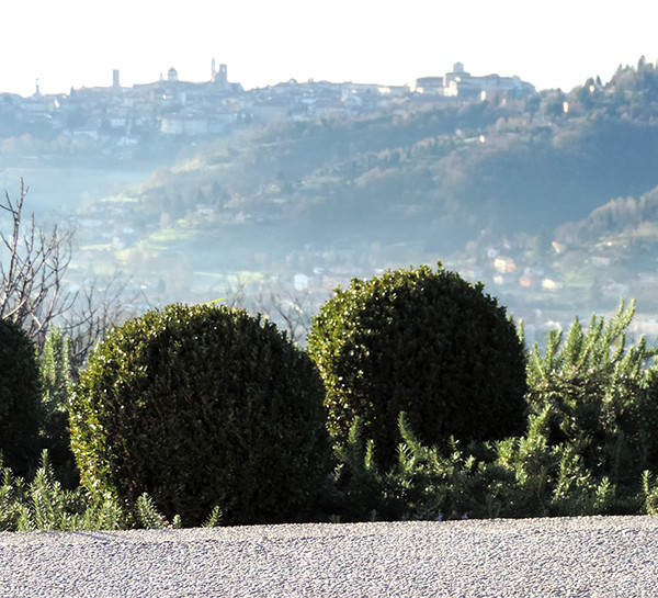 progettisti giardini