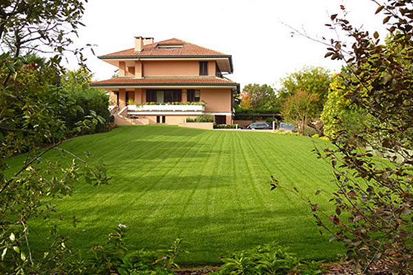 Lichene stabilizzato per interni - Progettazione Giardini e Paesaggio