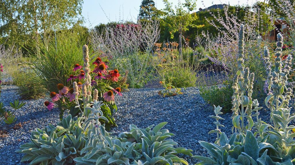 Parco villa di campagna: erbacee perenni a risparmio idrico